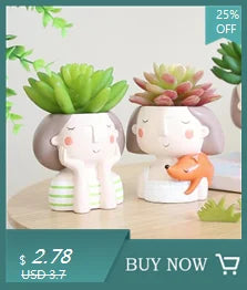 Girls Face Succulent Flower Pot