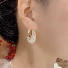 Load image into Gallery viewer, New Fashion Trend Unique Design Elegant Exquisite Light Luxury Mesh Zircon Earrings Female Jewelry Party Premium Gift Wholesale