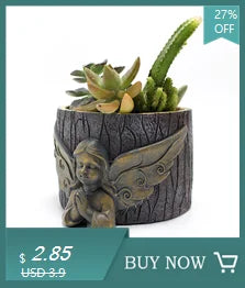 Girls Face Succulent Flower Pot