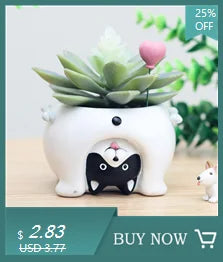 Girls Face Succulent Flower Pot