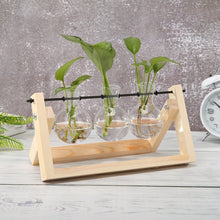 Load image into Gallery viewer, Glass and Wood Planter Table Hydroponics Flower Pot