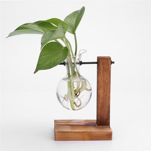 Glass and Wood Planter Table Hydroponics Flower Pot