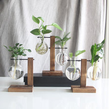 Load image into Gallery viewer, Glass and Wood Planter Table Hydroponics Flower Pot