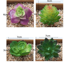 Load image into Gallery viewer, Mini Succulent Plant 1pc - Love Essential Being