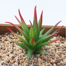 Load image into Gallery viewer, Mini Succulent Plant 1pc - Love Essential Being