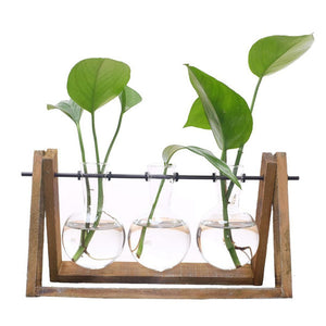 Plant Terrarium Vase with Wooden Stand - Love Essential Being