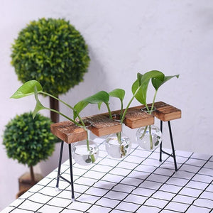 Plant Terrarium Vase with Wooden Stand - Love Essential Being